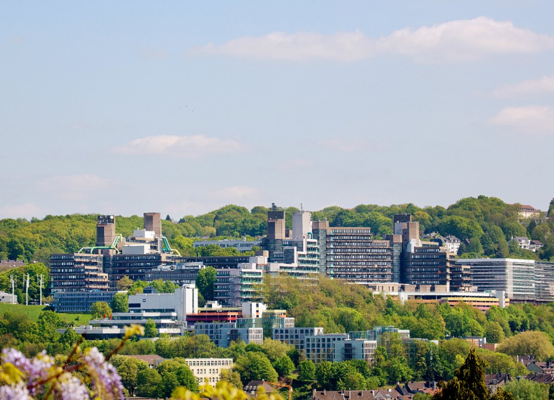 Panorama-Ansicht Campus Grifflenberg